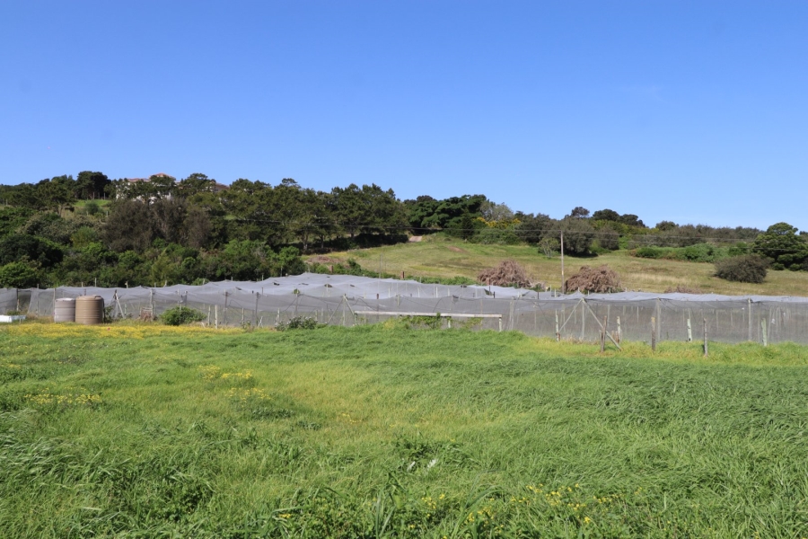 Commercial Property for Sale in Chelsea Eastern Cape